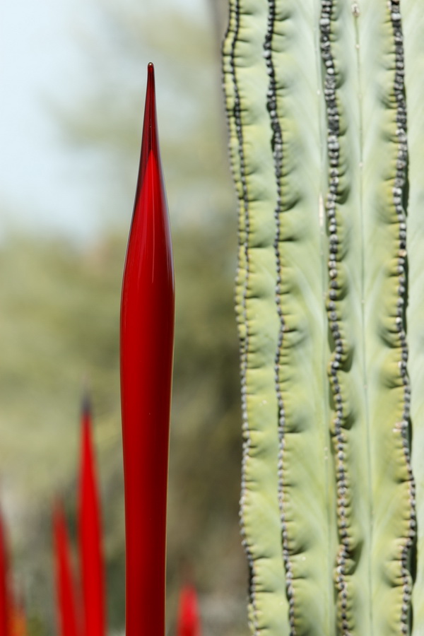Plants